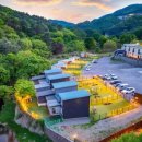 딩동댕 애견 카페 이미지