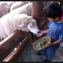 주영목장 이미지