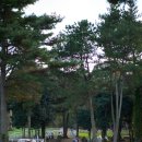 열린목장 | 제주 대한목장 카페 후기 | 사진 찍기 좋았던 제주 카페