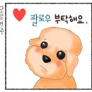 순덕이추어탕 | 보령 성주산 자연휴양림 캠핑장 간단한 후기 #1 포스텐 메소3 시더 첫 개시