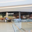 펫밀리레스토랑 이미지