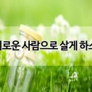 향기365 이미지