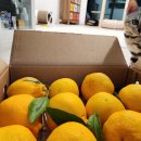 참좋은몰 이미지