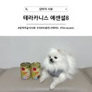 씨유 일산식사점 | [강아지 습식사료] 균형 잡힌 완전한 주식, 테라카니스 에센셜8 Terracanis