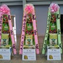 주식회사 드리미 이미지
