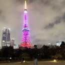 2025 도쿄 여행기 3 _ 후지산투어 가와구치호수 카치카치산 로프웨이 로손 편의점 오시노핫카이 프린스...