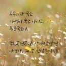 크레인PC 태백호텔점 | 공공기관 숙소 시리즈/ 국립공원 야영장·숙박 가성비 완전정복! 예약 꿀팁 &amp; 나의 후기 및 검색후기