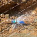 고하대로 이미지