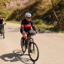 김삿갓면-21 이미지