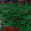 김포실내바다낚시터 이미지