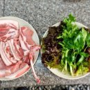 돼지사랑 이미지