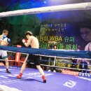 성산효권투체육관 이미지