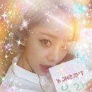 댕데이지 이미지