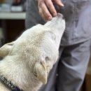 호크종합동물병원 이미지