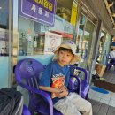 포항시남구동해면흥환보건진료소 네이버블로그