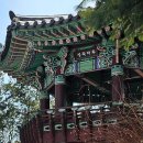 정자나루 이미지