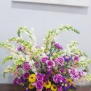 한마음의원 이미지