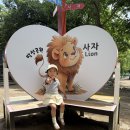 아진교통(주) | 대구 서문시장 나들이 아기랑 / 주차, 쇼핑, 먹거리, 달성공원 산책