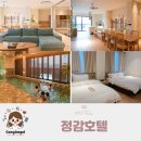 11500-9-75-108 | 청주여행 정감호텔 파티스위트룸 키즈풀빌라보다 여기