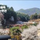 중부대로2565번길2 이미지