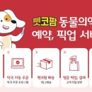 팜동물약국 이미지