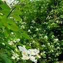 솔소리농장 이미지