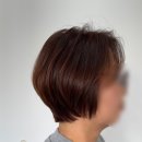 디자이너 재은