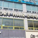 토리헤어 관저점 네이버블로그