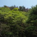 더채운하우스 이미지