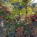 하이디펜션 이미지