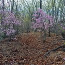 유격장 지나 이미지