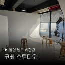 BB 동물병원 | 울산 사진관 추천 코베스튜디오 증명사진 여권사진 프로필 사진