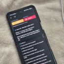 머슬영어학원 | 캐나다 부부 워홀 준비 영어회화 스피킹 링고부트캠프 중간 솔직 후기