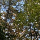 이정민차이나타운 이미지