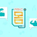 어보이