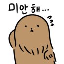 토끼와거북이2 이미지