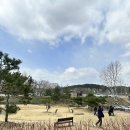 장원포크 | [부여맛집] 장원막국수 내돈내산 후기 – 부여 막국수 편육 조합 최고였어요