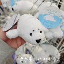 바다할인마트 | 후쿠오카 마린월드 입장권 할인 방법, 돌고래쇼 펭귄 퍼레이드 후기 및 기념품 추천