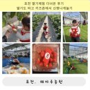 해마루농원 | 포천 딸기체험 다녀온 후기👍딸기도 따고 키즈존에서 신명나게놀기🍓, 해마루딸기농원