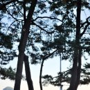 상주은모래비치 주차장 | 남해 카페 상주장 차 한잔 &amp; 상주 은모래비치 해수욕장 걷기