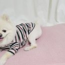 따숩개하우스 이미지