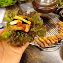 상추밭에돈 이미지