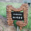 (주)메가디톡스