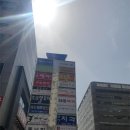 매일코코