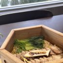 청산1954 이미지