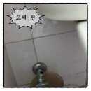 두진마트