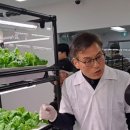 행복한뜨락 네이버블로그