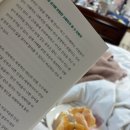 무봤나촌닭(울산롯데점) | 4월 4주차 모음 ˚✧₊⁎❝᷀ົཽ≀ˍ̮ ❝᷀ົཽ⁎⁺˳✧༚