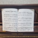 칸타빌레 | 미사역피아노 성인 취미로 시작한 칸타빌레 음악학원 피아노개인레슨 후기