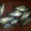 행복 낚시터 이미지